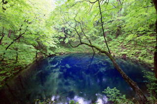 世界遺産　白神山地の十二湖