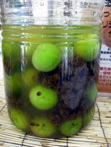 梅酒の造り方 黒糖梅酒レシピ 日本酒 焼酎梅酒の造り方 レシピ 自家製梅酒 地酒専門店 東京都豊島区池袋 升新商店